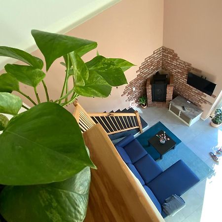 Well-Being In Eifel Apartment Nettersheim Ngoại thất bức ảnh